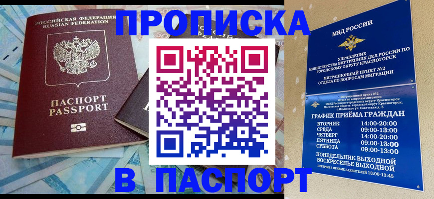 найти адрес прописки в Электрогорске